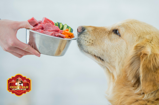 How to Create a Balanced Diet for Your Dog While Using Treats