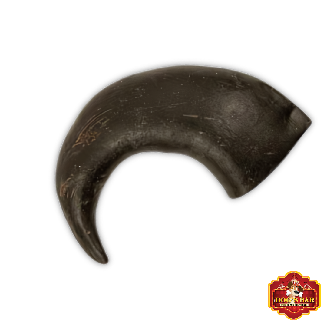 Buffalo Horn